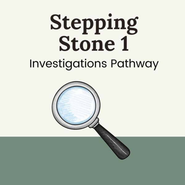 Stepping Stones 1 Investigations